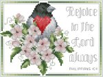 (image for) Rejoice In The Lord Always